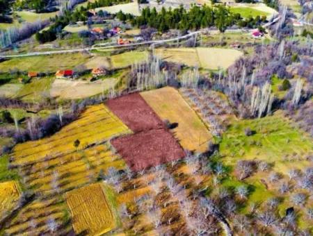 3.278 M² Opportunity Zoned Detached Land For Sale In Denizli Çameli Cevizli