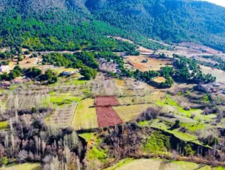 3.278 M² Opportunity Zoned Detached Land For Sale In Denizli Çameli Cevizli