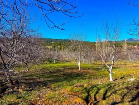 3.278 M² Opportunity Zoned Detached Land For Sale In Denizli Çameli Cevizli