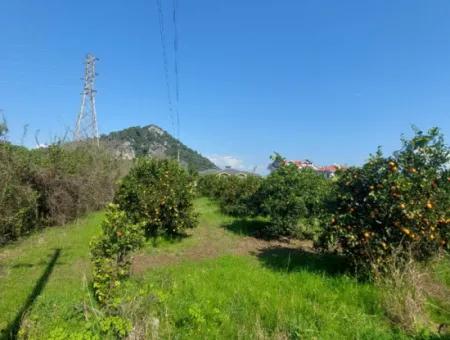 722 M2 Zoned Detached Land For Sale In Dalyan, Muğla