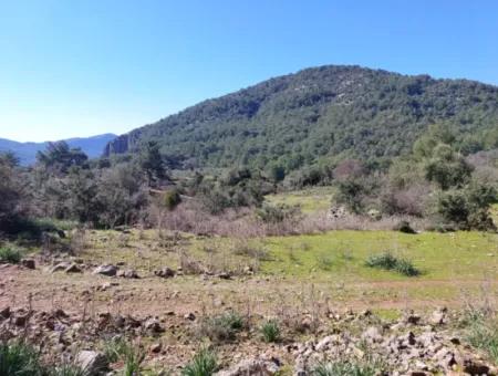 2 400 M2 Field For Sale In Muğla Ortaca Gökbelde Nature