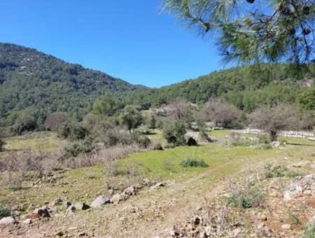 2 400 M2 Field For Sale In Muğla Ortaca Gökbelde Nature