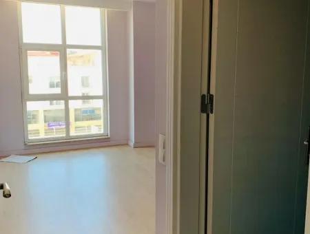 Oriya Rent-A Business Or Apartment