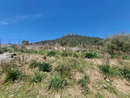 Ortaca Gökbelde Detached 12 132M2 Bargain Land In Nature For Sale