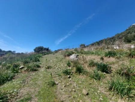 Ortaca Gökbelde Detached 12 132M2 Bargain Land In Nature For Sale