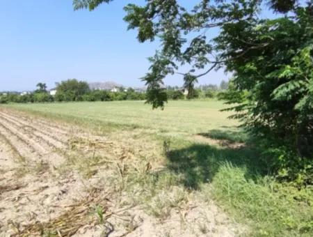 Rızai Taksimli 798 M2 Field For Sale In Muğla Ortaca Fevziye Neighborhood