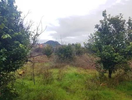 Tourism Zoned Land For Sale In Dalyan Channel Zero