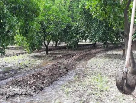 Garden For Sale In Köyceğiz Village