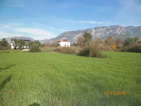 Land For Sale In Bargain Detached Zeytinalani