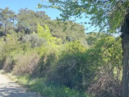 Village House With Lake View And Olive Grove Land For Sale In Köyceğiz Çandır, Muğla