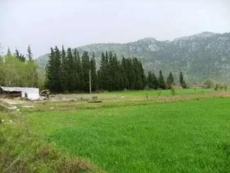 Archers Are Also For Sale, Fertile Land Suitable For Investment