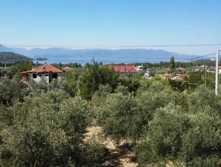He Completed His Education At Koycegiz Lake View Home For Sale