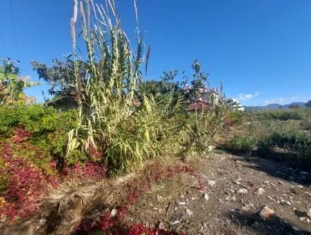 ???? Tourism Zoned Investment Land For Sale In Fethiye Calis! ????
