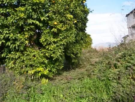 Commercial Zoned Bargain Land For Sale In Dalyan