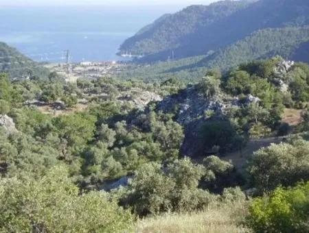 12.926 N2 Sea View Land For Sale In Köyceğiz Ekincik