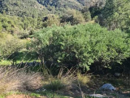 15.000 M² Detached Land For Sale In Fethiye İnlice