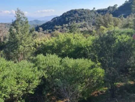 15.000 M² Detached Land For Sale In Fethiye İnlice