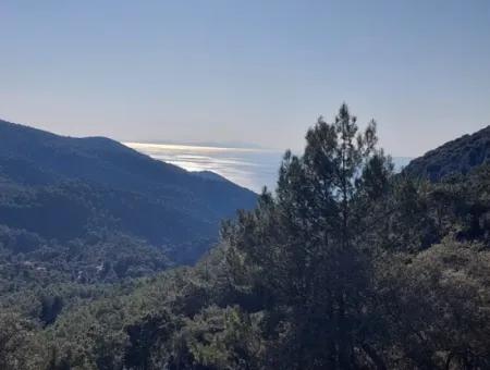 5.216 M2, 2B Land For Sale In Ortaca Gökbelde With Detached Title Deed Sea View