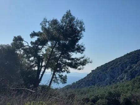 5.216 M2, 2B Land For Sale In Ortaca Gökbelde With Detached Title Deed Sea View