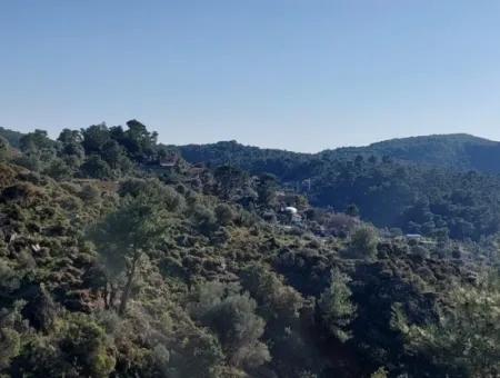 5.216 M2, 2B Land For Sale In Ortaca Gökbelde With Detached Title Deed Sea View