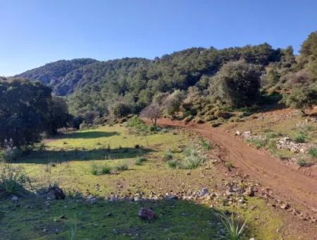 5.216 M2, 2B Land For Sale In Ortaca Gökbelde With Detached Title Deed Sea View