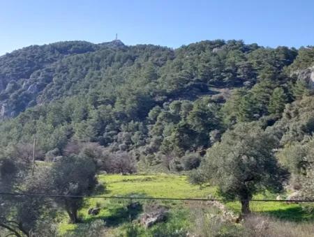 5.216 M2, 2B Land For Sale In Ortaca Gökbelde With Detached Title Deed Sea View