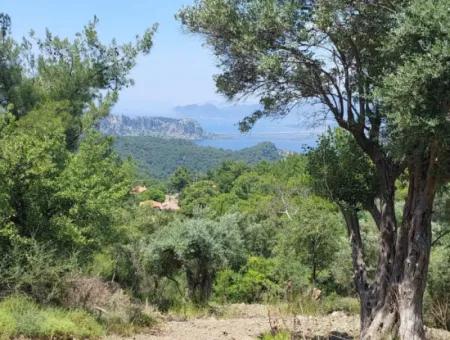 1.000 M² Investment Land With Lake And Sea View In Muğla Ortaca Gökbel For Sale ????