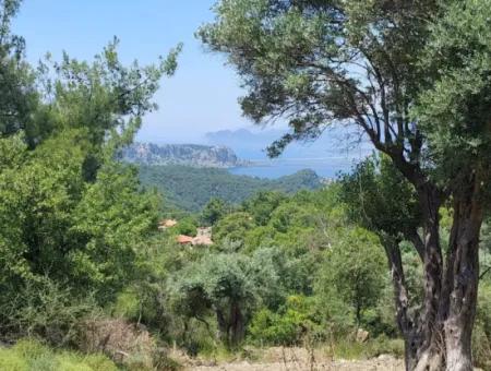 1.000 M² Investment Land With Lake And Sea View In Muğla Ortaca Gökbel For Sale ????