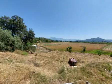 For Sale With A Numbered Building On 2.500M2 Treasury Land In Ortaca Eskiköy