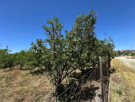 650 M2 30% Zoned Land For Sale In Ortaca Center