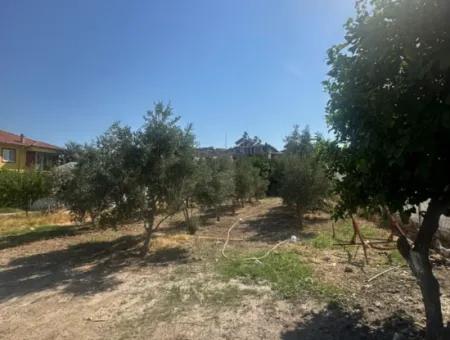 538 M2 Land For Sale In Ortaca Ekşiliyurt - 250 M2 Construction Permit