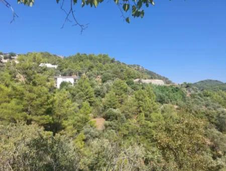 238 M2 Hobby Garden With Detached Title Deed For Sale In Ortaca Gökbel, Muğla