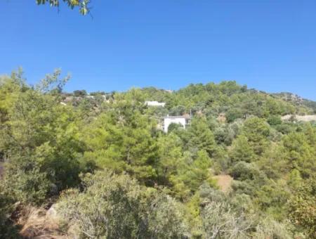 238 M2 Hobby Garden With Detached Title Deed For Sale In Ortaca Gökbel, Muğla