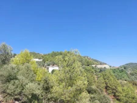 238 M2 Hobby Garden With Detached Title Deed For Sale In Ortaca Gökbel, Muğla