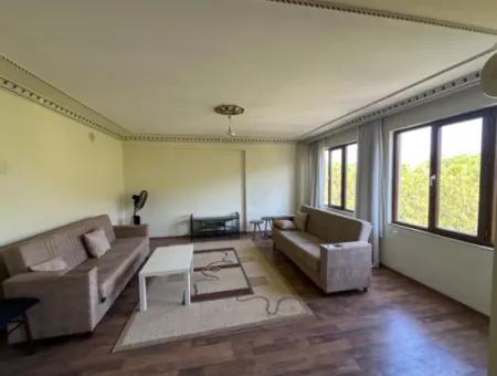 3 1 Apartments For Sale In The Center. Suitable For High Credit