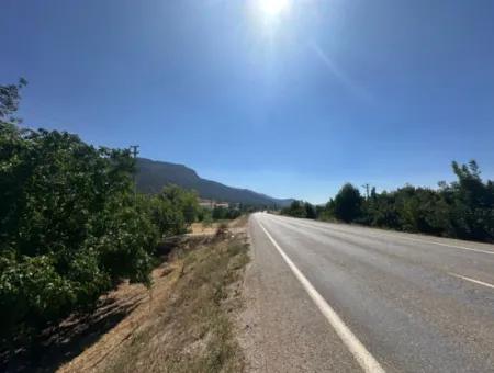 3070 M2 Walnut Orchard For Sale On The Side Of The Main Road In Denizli Çameli