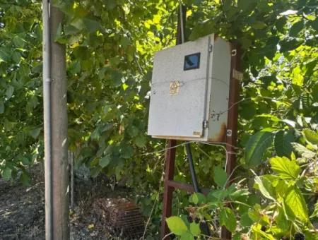 3070 M2 Walnut Orchard For Sale On The Side Of The Main Road In Denizli Çameli