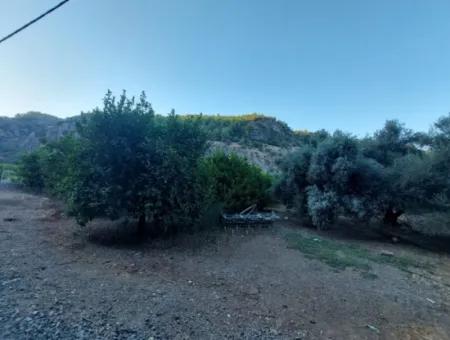 1.300 M2 Detached 250M2 Residential Zoned Land For Sale In Muğla, Ortaca, Karadonlar