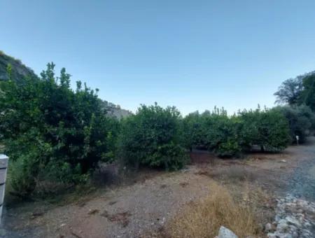 1.300 M2 Detached 250M2 Residential Zoned Land For Sale In Muğla, Ortaca, Karadonlar