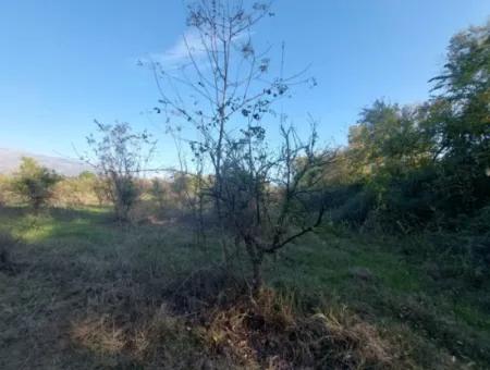9 600 M2 Land Close To The Lake In Köyceğiz Toparlar Is For Sale