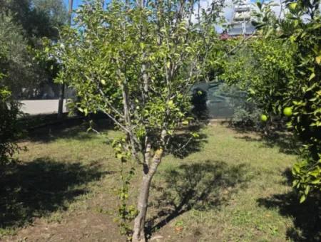 2 1, 70 M2 Village House For Sale On 902 M2 Land Zero To Ortaca Akıncı Sarıgerme Road