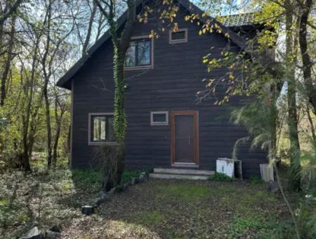 12 000 M2 Field For Sale In Ortaca Yeşilyurt