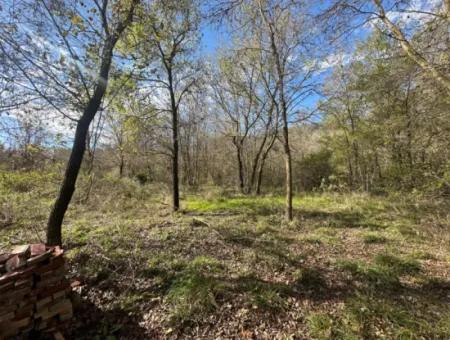 12 000 M2 Field For Sale In Ortaca Yeşilyurt