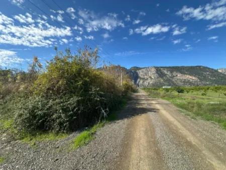 12 000 M2 Field For Sale In Ortaca Yeşilyurt