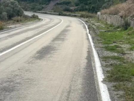 1.025 M2 Qualified Olive Grove Land In Muğla Milas Çakıralan Is For Sale