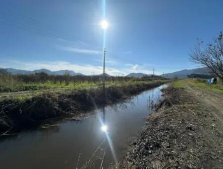 Field For Sale Close To Dalyan, Close To Köyceğiz Lake