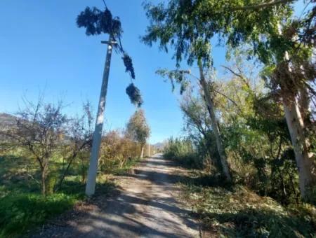 1000M2 Detached Land With 250 M2 Construction Right In Ortaca Okçular For Sale