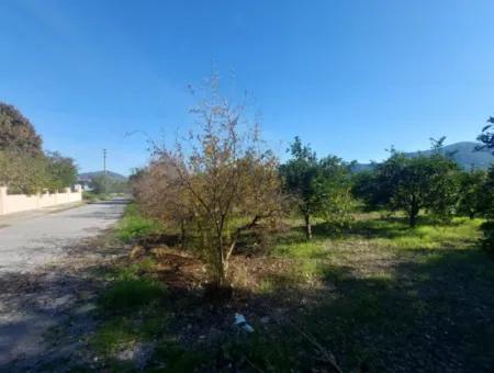4 500 M2 Land With 150 M2 Construction Right In Muğla Dalyan For Sale Or Exchange For Villa From Dalyan