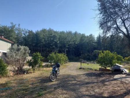 Muğla, Köyceğiz, Kavakarası 2 1, 3 Independent Kelepir Village Houses For Sale On 1500 M2 Land