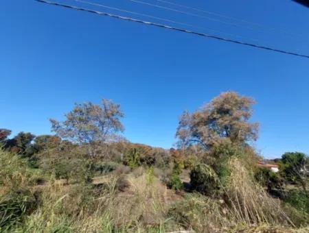 Bargain Suitable For Investment In Muğla Dalyan 4 000 M2 Land By The Forest Is For Sale